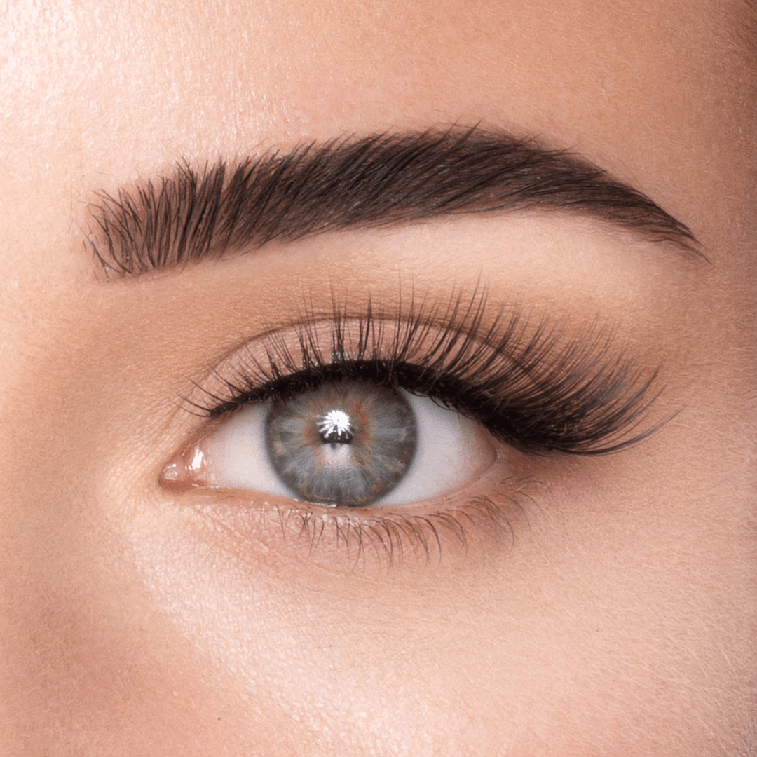 
            
              CLASSY LASH - MAYSON Cosmetics
            
          