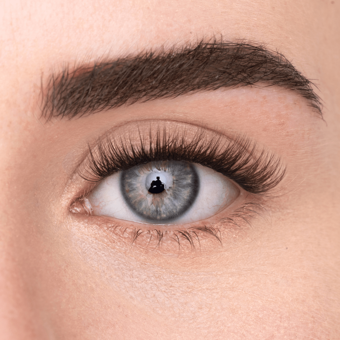 
            
              COSY LASH - MAYSON Cosmetics
            
          