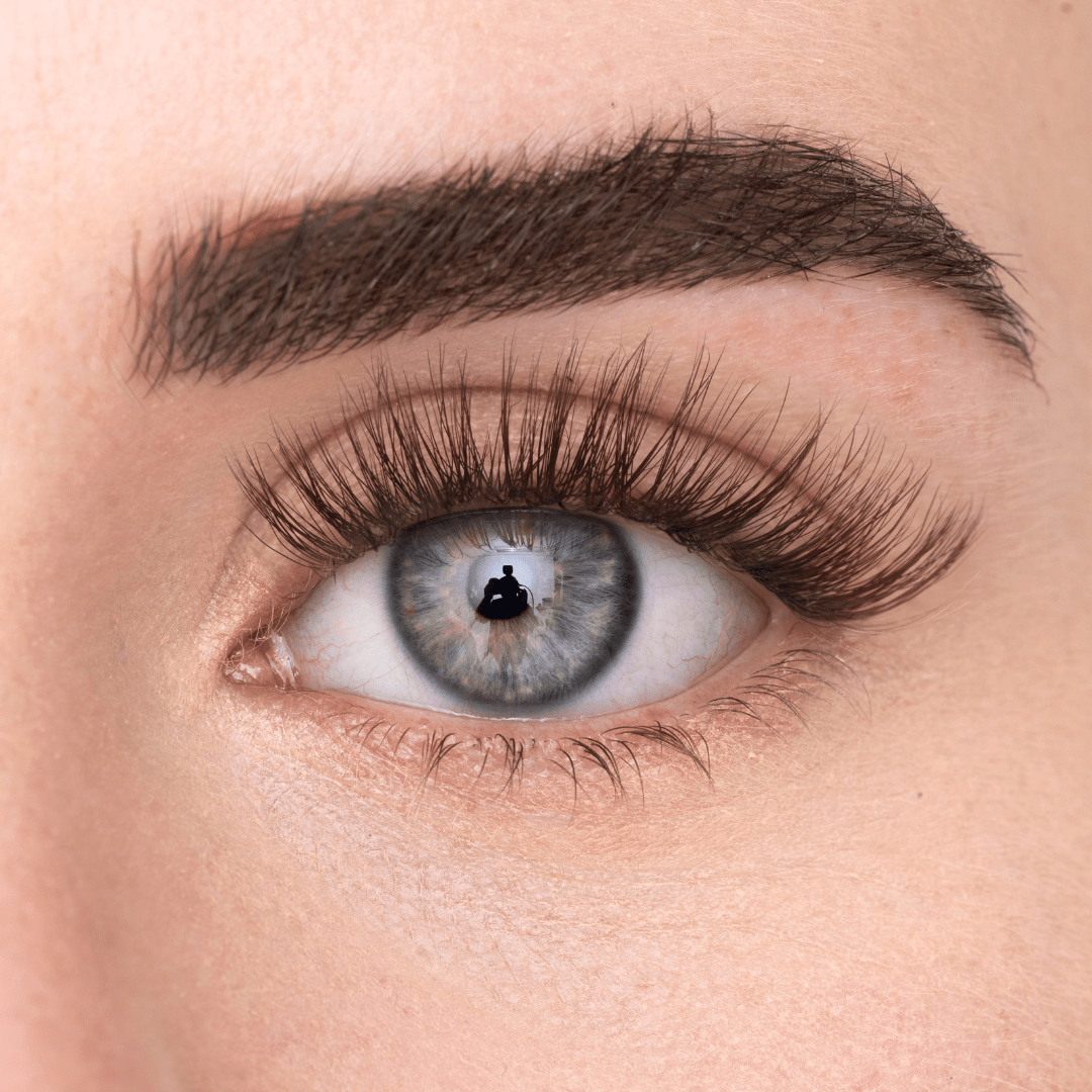 
            
              COSY LASH - MAYSON Cosmetics
            
          