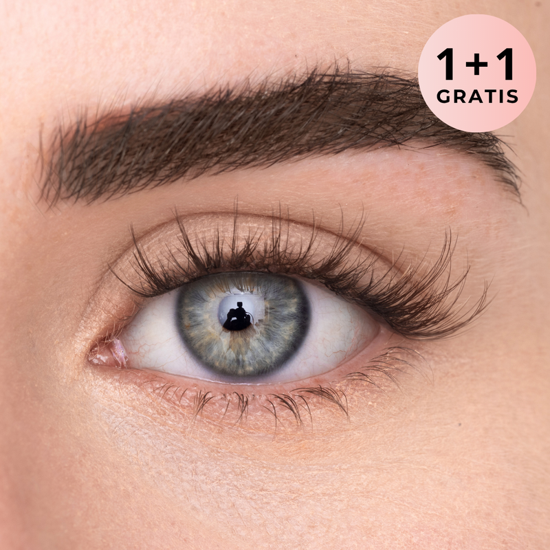 FREE LASHES