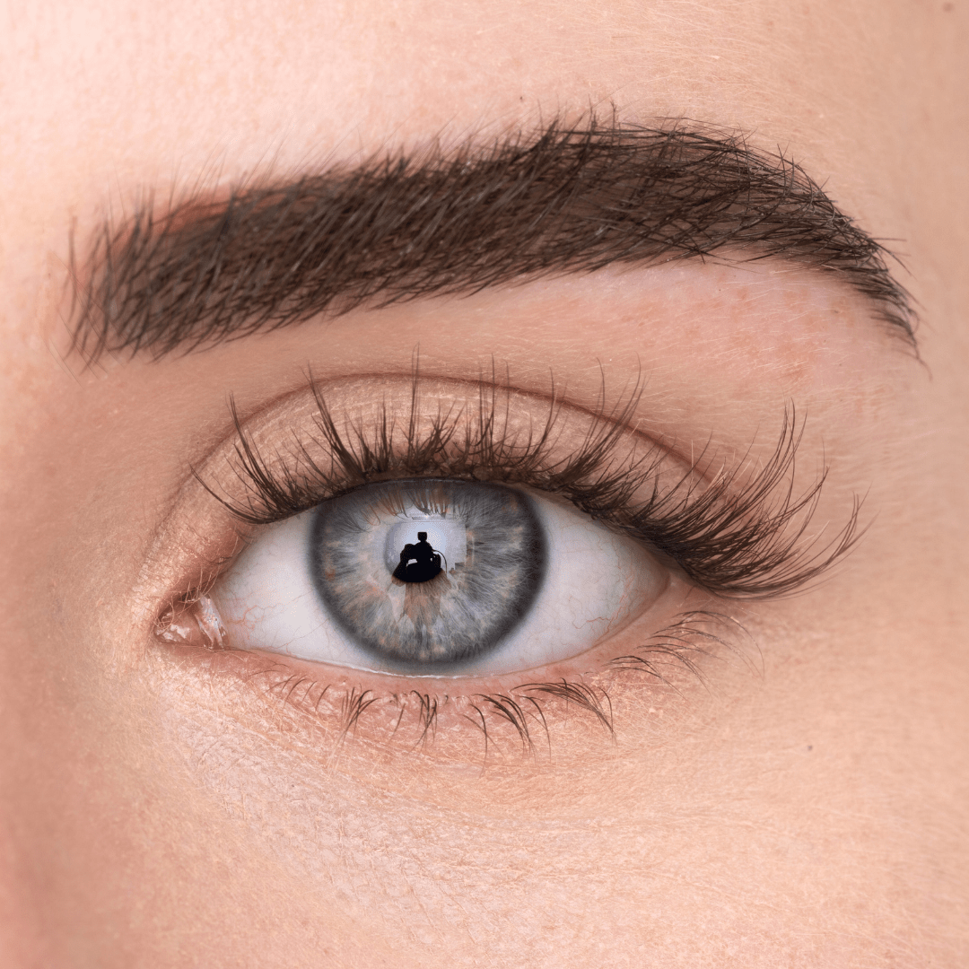 
            
              WISPY LASH - MAYSON Cosmetics
            
          