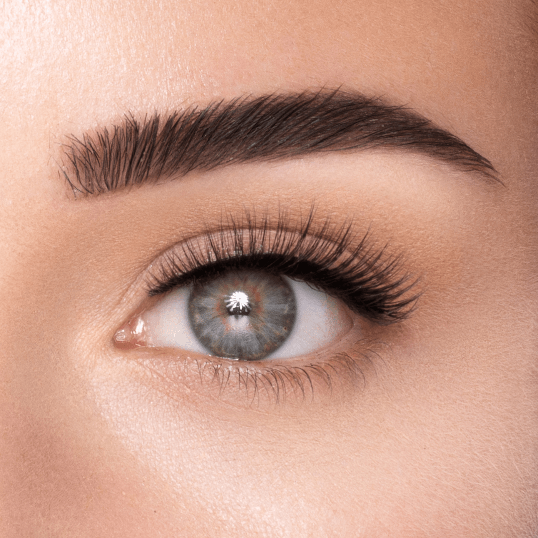 
            
              TINY LASH - MAYSON Cosmetics
            
          