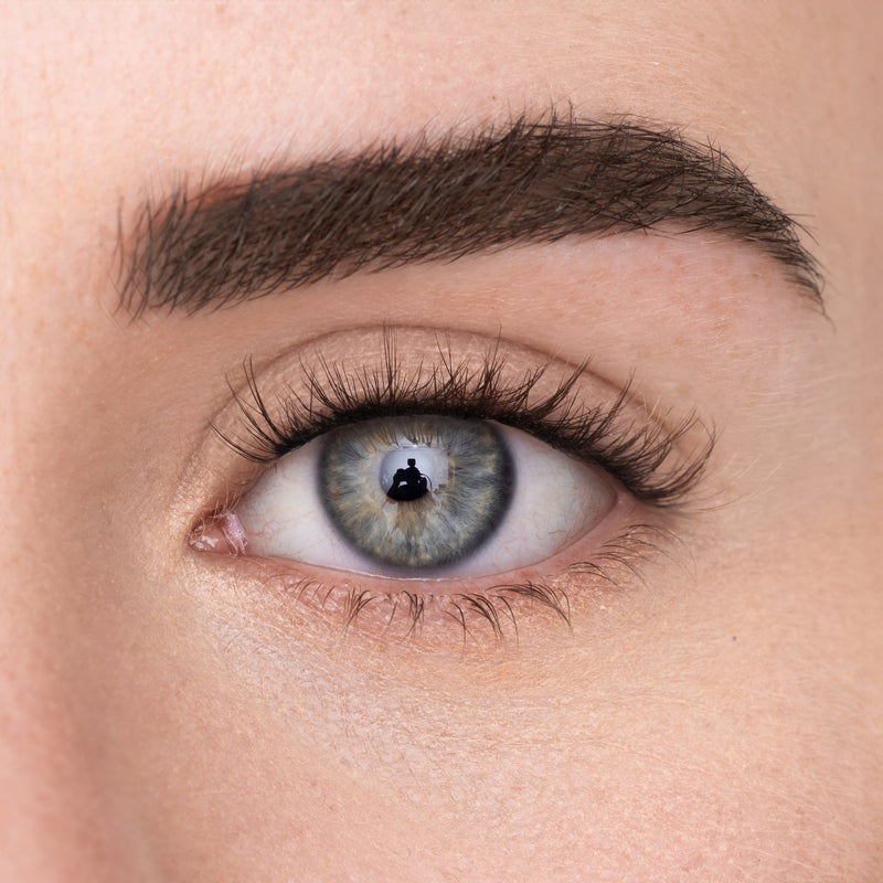 WISPY LASH